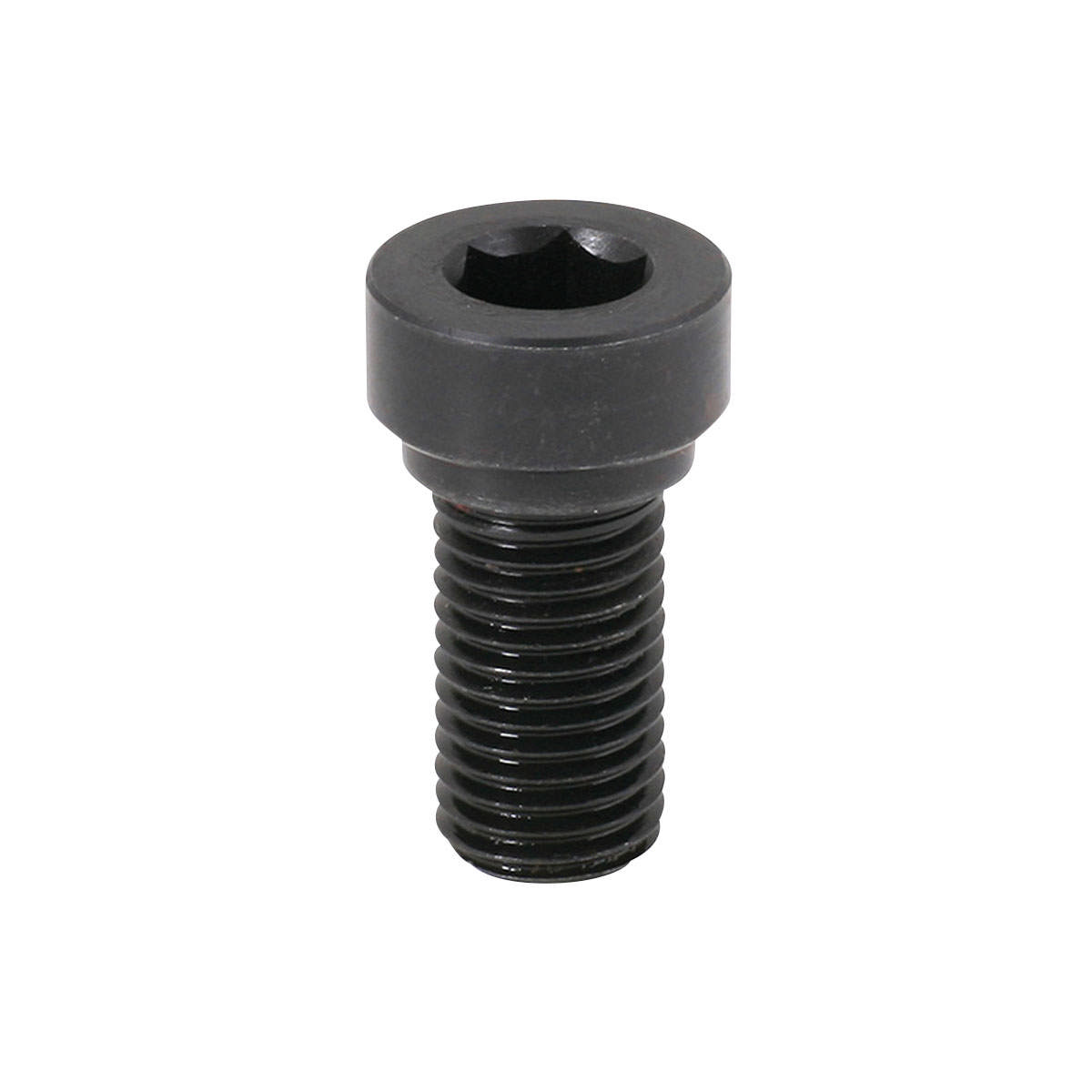 Inbus Bolt for Fixing 