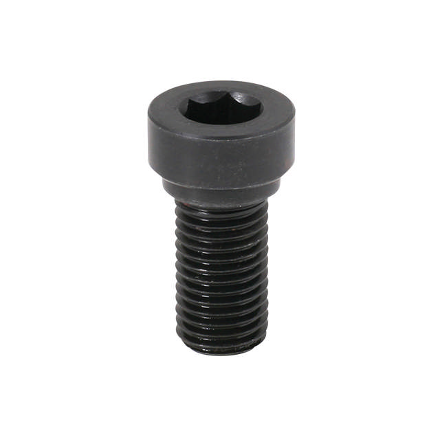 Inbus Bolt for Fixing 