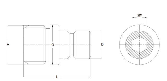 Male Plug with internal Hex