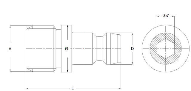 Male Plug - with internal Hex